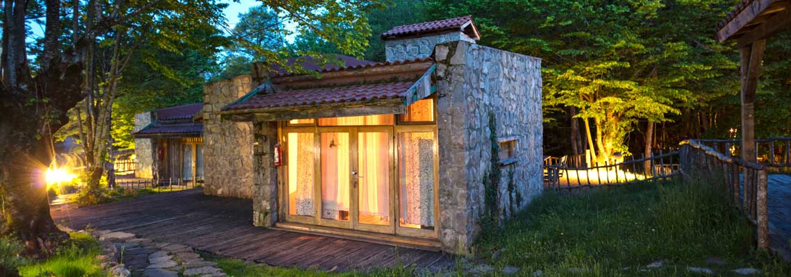 Hindiba Doğa Evi Meşe 1